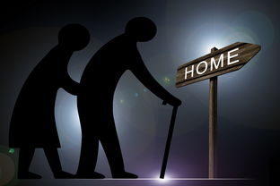 中国最华丽的配音作品，中国最华丽的配音