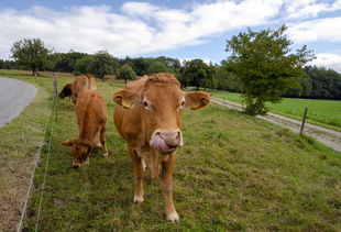 中国古代箭术最强，中国最牛的箭