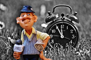 世界上最良心的视频是什么，世界上最良心的视频