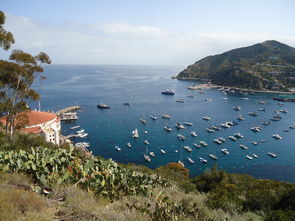 中国哪个地区最聪明，中国那个地区人最聪明