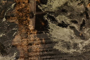 世界最神秘的部门,世界最神秘的部队前十