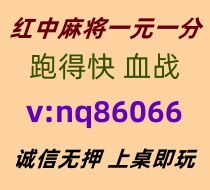 1561561.jpg 1561561.jpg