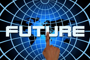 世界冠军西部行业排名前十，1617西部排名